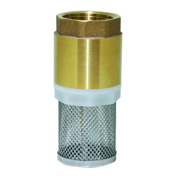 Clapet-filtre