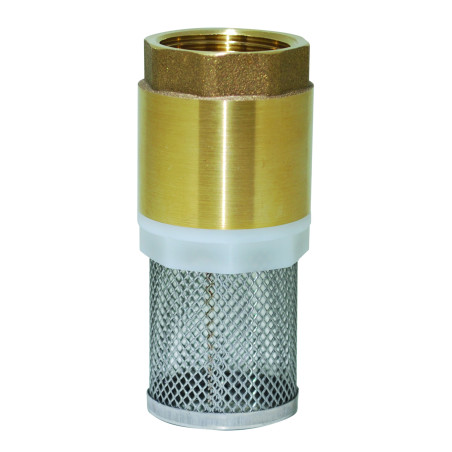 Clapet-filtre