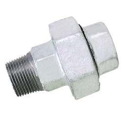 Union mâle-femelle 341