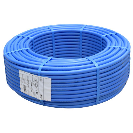 PER Nu Bleu en couronne