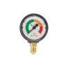 Manometre spécial pour filtre Cintropur Nw500/650/800