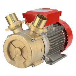 BE-M 50 - Pompe de transfert pour eau douce et liquides alimentaires