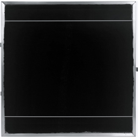 FILTRES CHARBON LONGUE VIE (condit x 2) POUR MASTERPIECE SUSPENDUE