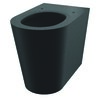 WC à poser noir S21 P