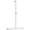 Barre d'appui en T 600 x 1000 mm, support douchette, alu. blanc Ø 30 mm