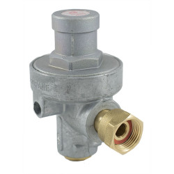 D.H.P.L 40 KG/H - propane EC. M 20X150 - 1.5 BAR - NF