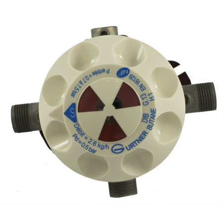 D.I.B. 2,6 kg/h 0,5bar NF en Butane - M20x150 & ISR - Skin