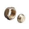 Bouchon JSC DN50 avec ecrou EC. 2"1/4