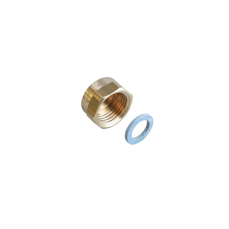 Bouchon femelle G1/2" NF Laiton Sur Carte