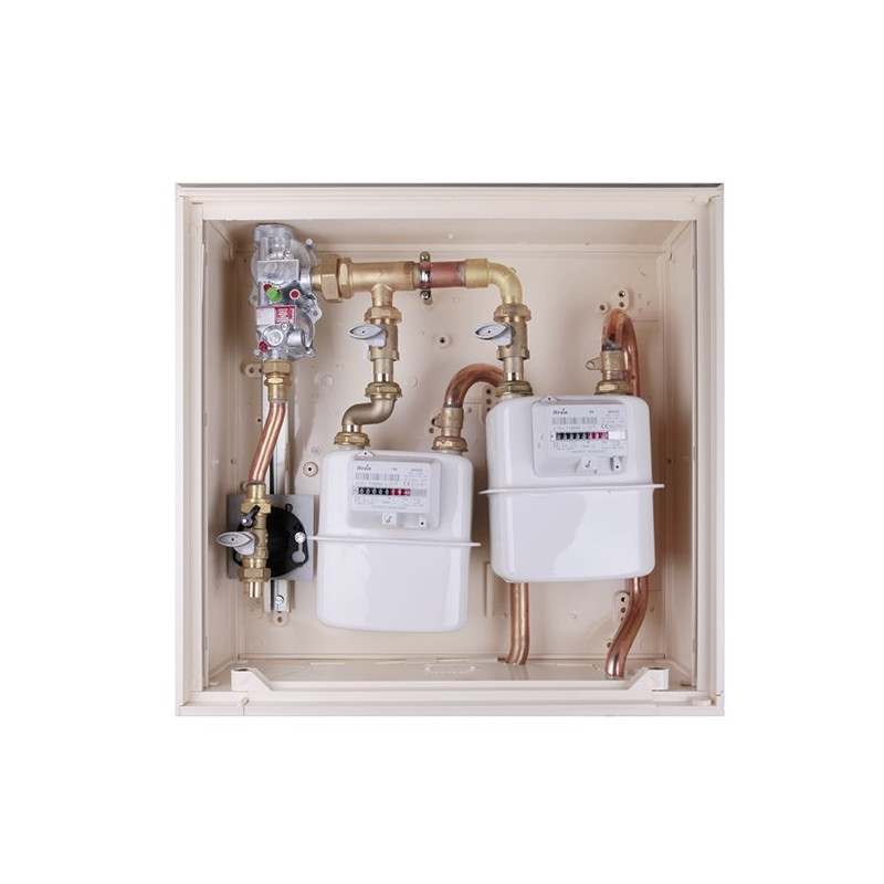 Coffret S300 double CPT. +DET. GPL 7KG/H