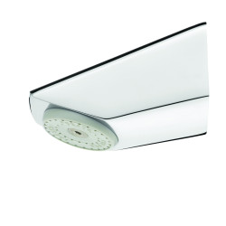 Tête de douche fixe avec grille orientable 2 positions