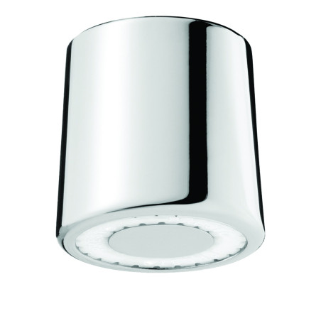 Tête de douche fixe avec grille fixe au plafond antivandalisme