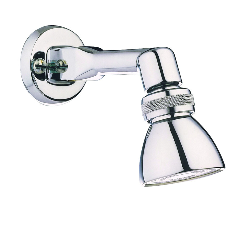 Tête de douche orientable avec rotule
