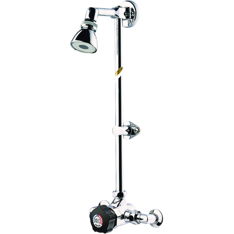 Alpa Mitigeur de douche temporisé applique, kit pomme orientable et raccords bn