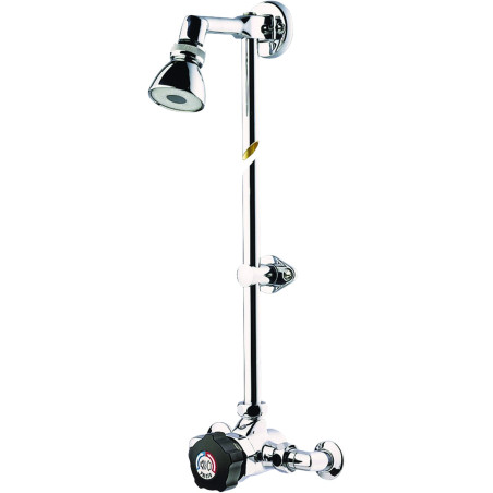 Alpa Mitigeur de douche temporisé applique, kit pomme orientable et raccords bn