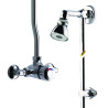 Alpa Mitigeur de douche temporisé applique, kit pomme orientable et raccords bc