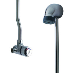 Alpa Mitigeur de douche temporisé applique, kit pomme fixe sans raccord, bc