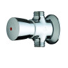 P500S Robinet de douche temporisé mécanique apparent alimentation en ligne