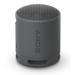 SONY Enceinte Bluetooth SRSXB100B