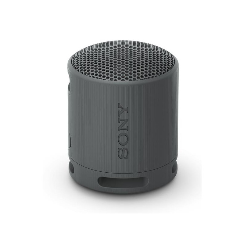 SONY Enceinte Bluetooth SRSXB100B