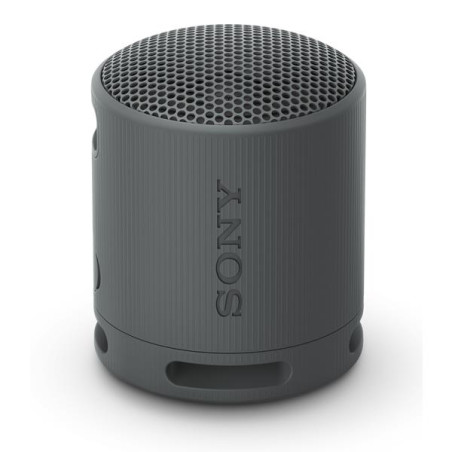 SONY Enceinte Bluetooth SRSXB100B