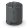 SONY Enceinte Bluetooth SRSXB100B