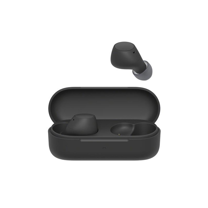 SONY Écouteurs true wireless WFC510B