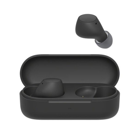 SONY Écouteurs true wireless WFC510B
