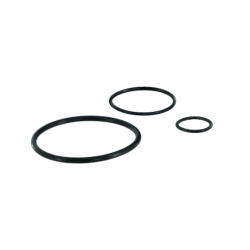Joints toriques pour douche temporisée DL 300/400 (x10)