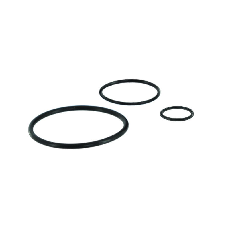 Joints toriques pour douche temporisée DL 300/400 (x10)