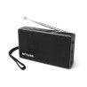 MUSE Radio portable M030R