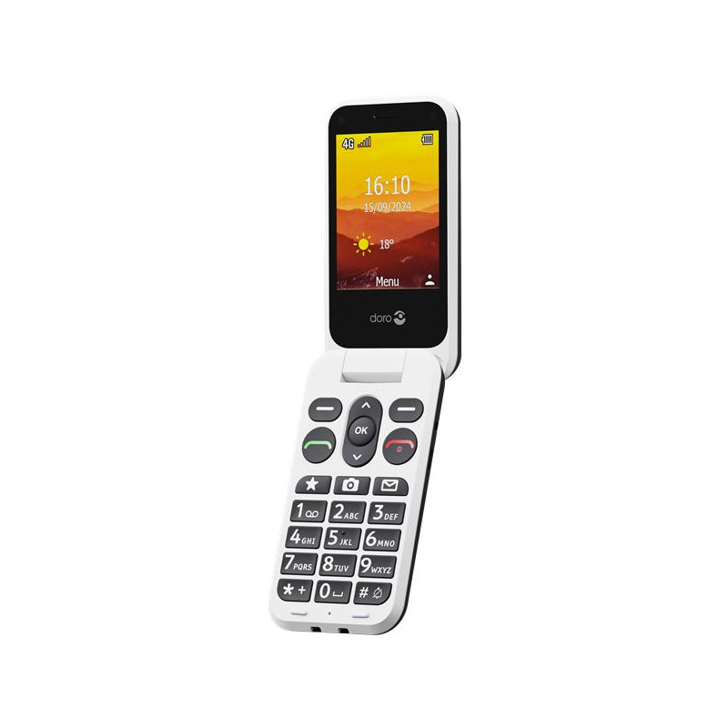 DORO Téléphone mobile 4G LEVAL20B
