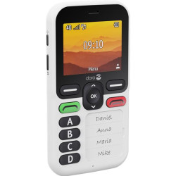 DORO Téléphone mobile 4G LEVAX10