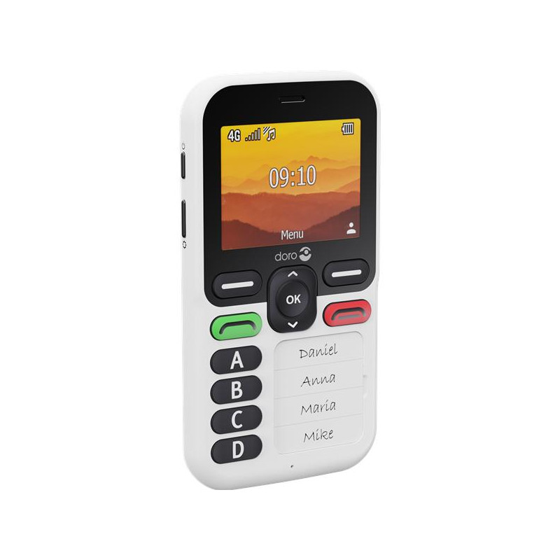 DORO Téléphone mobile 4G LEVAX10