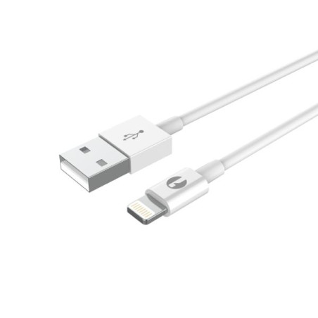 MBG FRANCE Cordon USB - 59180302