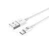 MBG FRANCE Cordon USB - 59180302