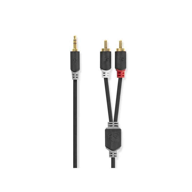 NEDIS Câble audio - CABW22200AT20