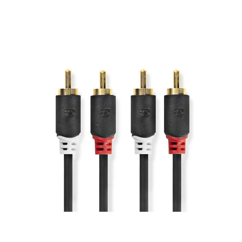 NEDIS Câble audio - CABW24200AT10