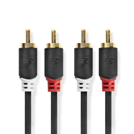 NEDIS Câble audio - CABW24200AT10