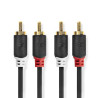 NEDIS Câble audio - CABW24200AT10