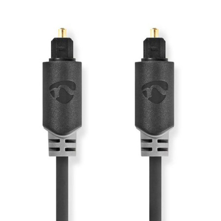 NEDIS Câble audio - CABW25000AT20