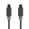 NEDIS Câble audio - CABW25000AT30
