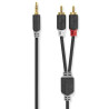 NEDIS Câble audio - CABW22200AT50