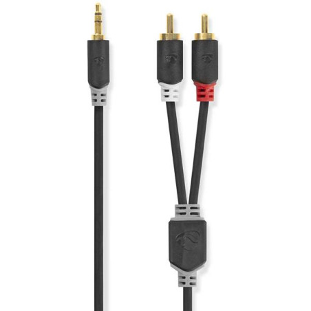 NEDIS Câble audio - CABW22200AT100