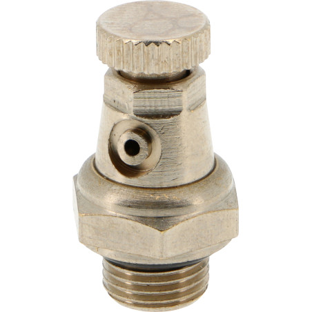 purgeur à volant à bec orientable 1/4"en vrac / 10 bar 100°C
