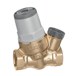 Réducteur de pression Mini FF 3/8" spécial machine à café et distributeur d’eau