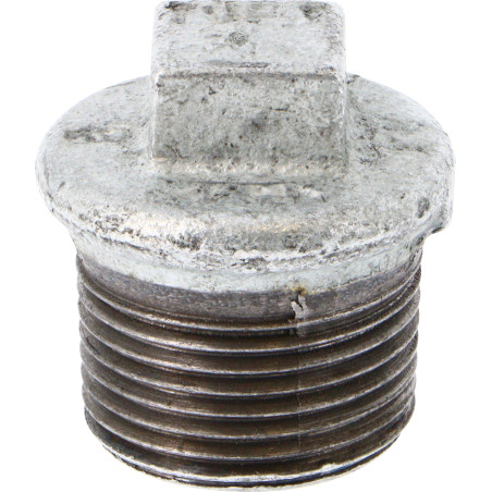 Bouchon fonte galvanisé  290 1" mâle