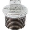 Bouchon en fonte galvanisée 290 - 2"1/2M