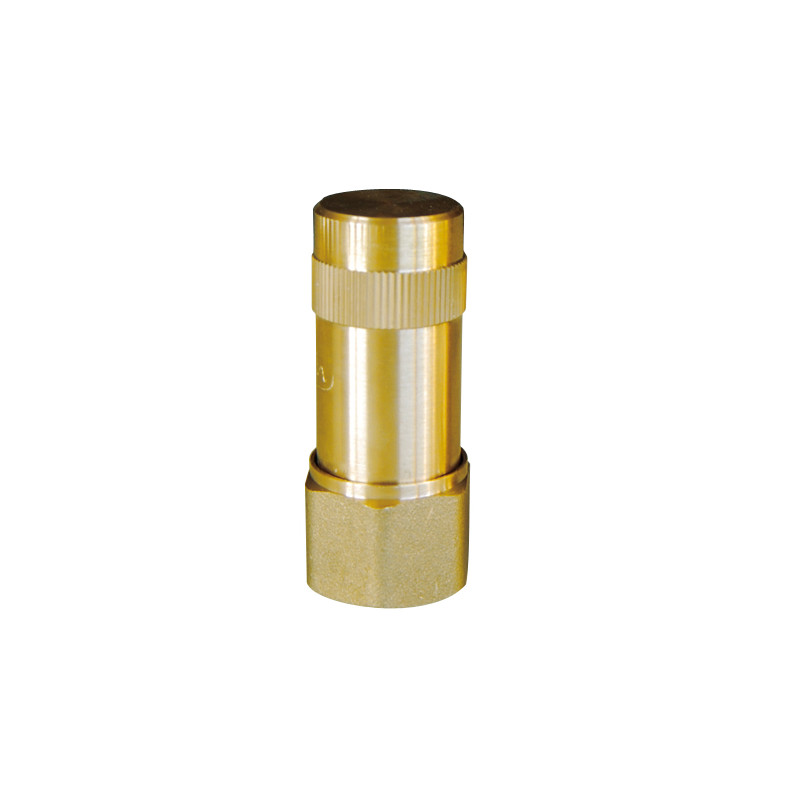 Anti-Bélier à ressort 1" F laiton ACSprégonflé 3,5 bar Pmax 10b Tmax 100°C