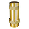 Anti-Bélier à ressort 1" M laiton ACSprégonflé 3,5 bar Pmax 10b Tmax 100°C